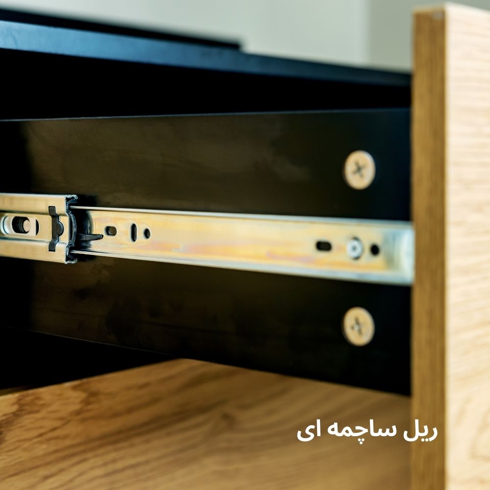 ریل ساچمه ای